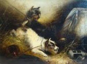 Two Tethered Terriers And A Rat In An Interior