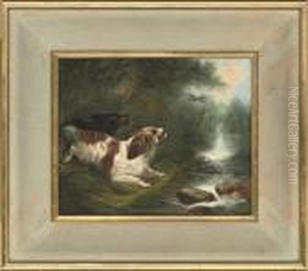 Spaniels Flushing Mallard - view 1