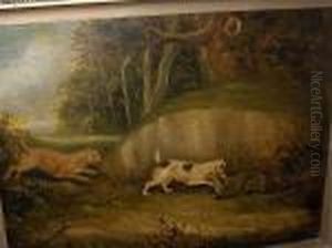 Two Terriers And A Badger Two Terriers And A Badger