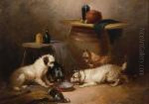 Four Terriers Four Terriers
