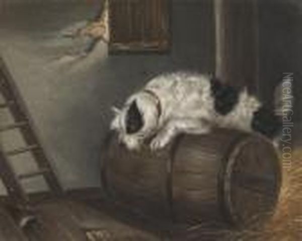 A Terrier In A Stables - view 1