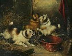Terriers Ratting