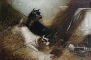Leashed Terriers At An Intruder by George Armfield