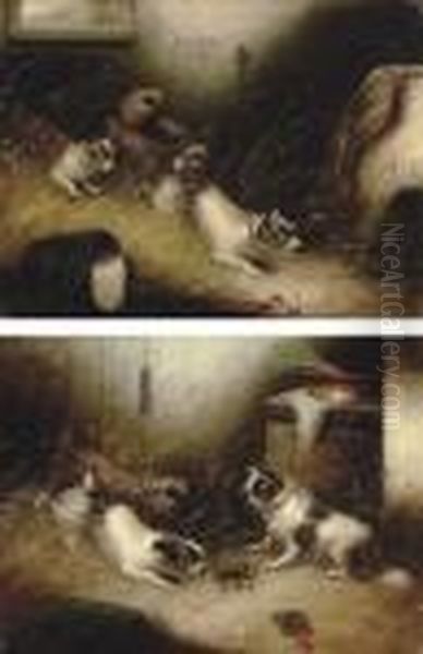 Terriers Ratting - view 1
