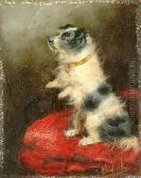A Dog Begging. - view 1