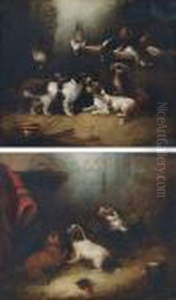 Terriers - view 1