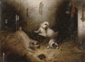 In Search Of The Quarry; And The Rat Trap by George Armfield