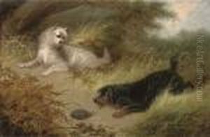 Inquisitive Terriers With A Hedgehog by George Armfield