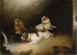 Terriers Ratting