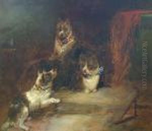 'rabbits And A Fox' And 'three Terriers' by George Armfield