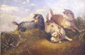 Gone To Ground - Terriers By A Rabbit Hole Gone To Ground - Terriers By A Rabbit Hole
