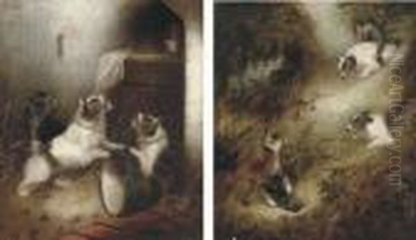 Terriers Ratting; And Terriers With A Fox And Pheasant by George Armfield