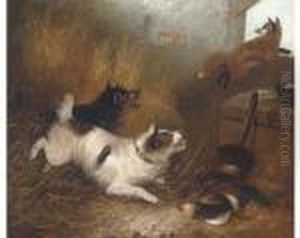 Terriers Chasing A Fox In A Barn by George Armfield