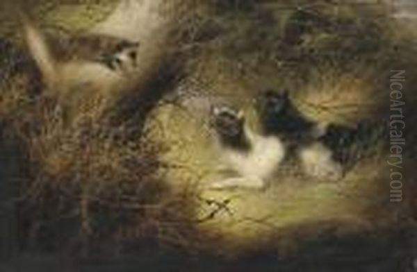 Terriers Chasing A Fox - view 1