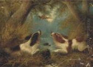 Spaniels Flushing A Pheasant by George Armfield