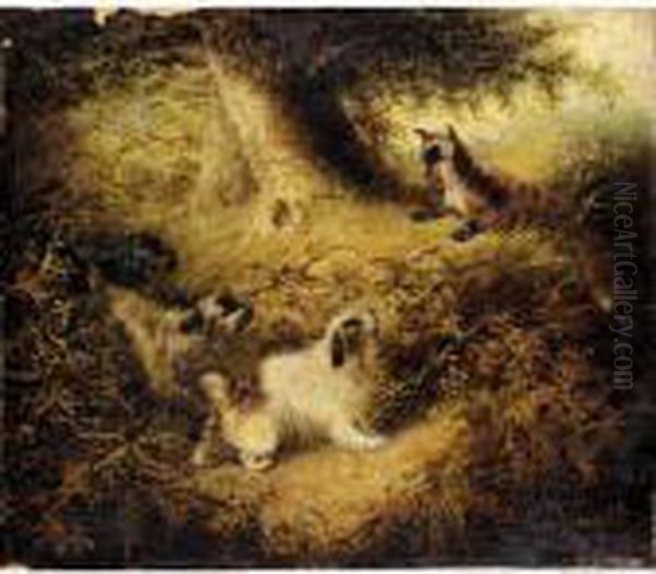 Chasing The Fox - view 1