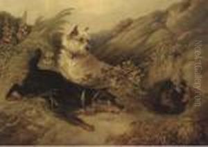 Terriers Rabbiting by George Armfield