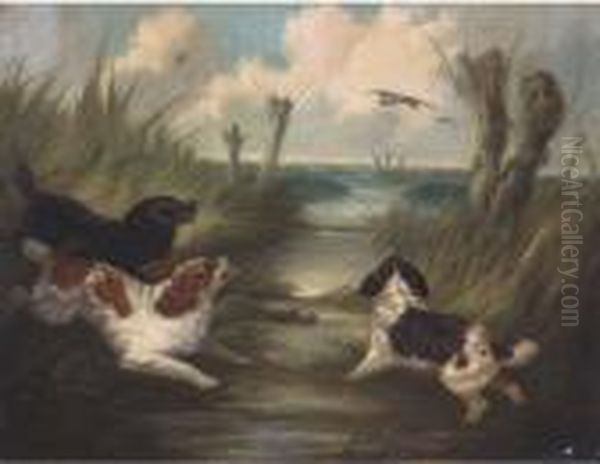 Spaniels Putting Mallards Up - view 1