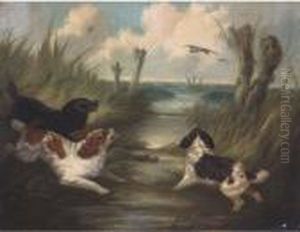 Spaniels Putting Mallards Up