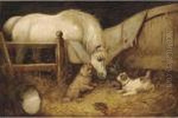 Stable Friends - view 1
