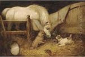 Stable Friends