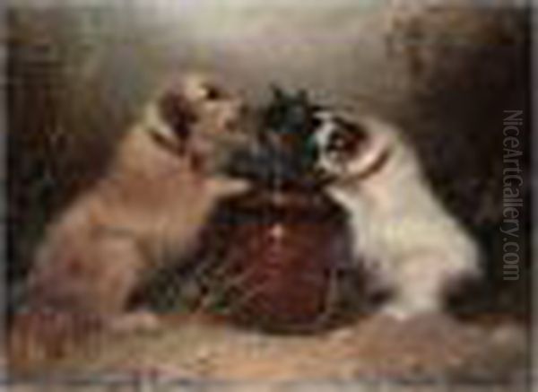 Surrounded; Caught At Last - view 1