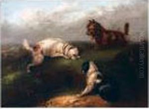 Terriers At A Rabbit Hole by George Armfield