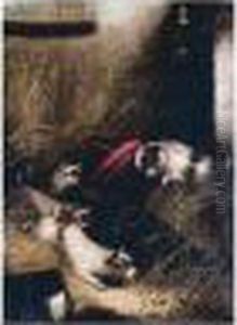The Search; Chasing The Rat