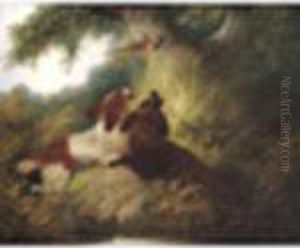 Puttingup Pheasant Signed, Oil On Canvas 17 X 21in by George Armfield