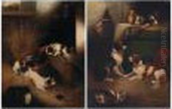 Terriers Ratting; After The Shoot - view 1