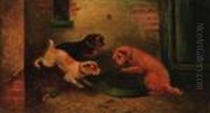 Terriers Ratting In A Barn