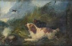 Spaniels Flushing Duck by George Armfield
