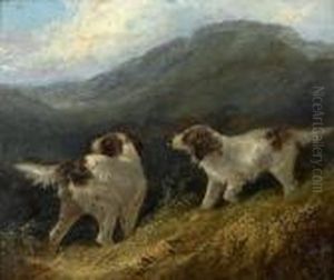 Setters