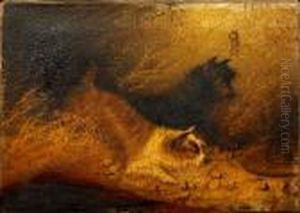 Two Terriers by George Armfield