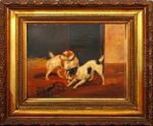 Two Terriers With A Caged Rat by George Armfield