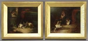 "terriers Resting" "terriers Resting"
