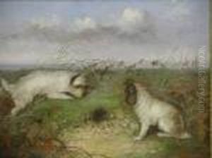 Terriers At A Rabbit Hole Terriers At A Rabbit Hole