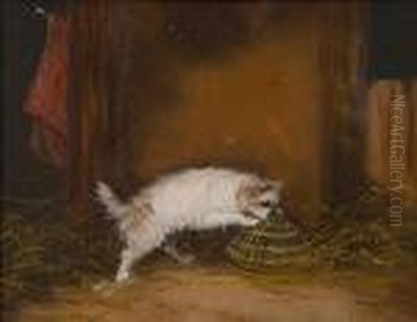 Terrier Ratting In A Barn - view 1