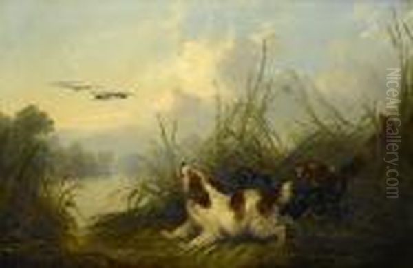 Spaniels Flushing Mallard - view 1