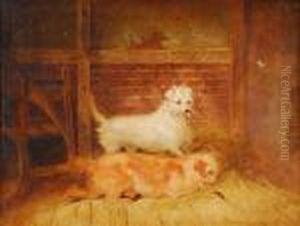 Two Spanielsratting In A Barn by George Armfield