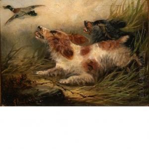 Spaniels Flushing A Mallard Duck by George Armfield