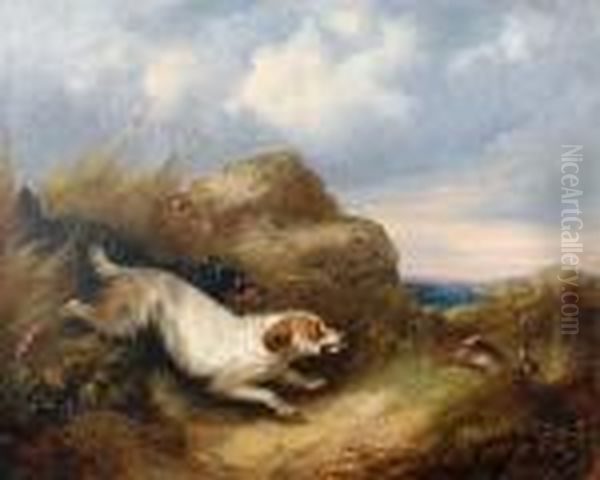The Chase - view 1