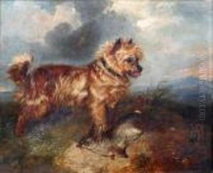 Terrier With A Rabbit by George Armfield