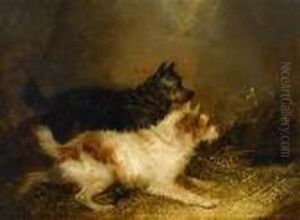 Terriers Ratting by George Armfield