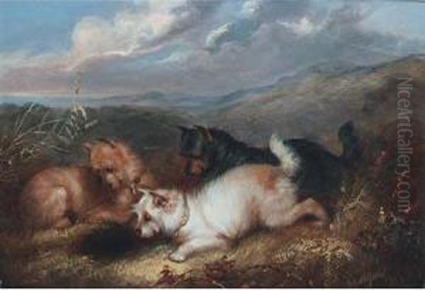 Terriers At A Rabbit Hole - view 1