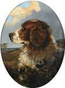 Head Of A Springer Spaniel
