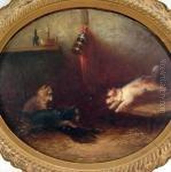 3 Terries In Interior - view 1