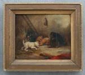 4 Terriers Ratting by George Armfield