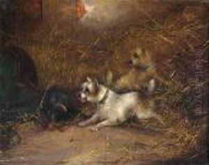 Terriers Ratting