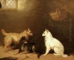 Three Terriers In An Interior by George Armfield